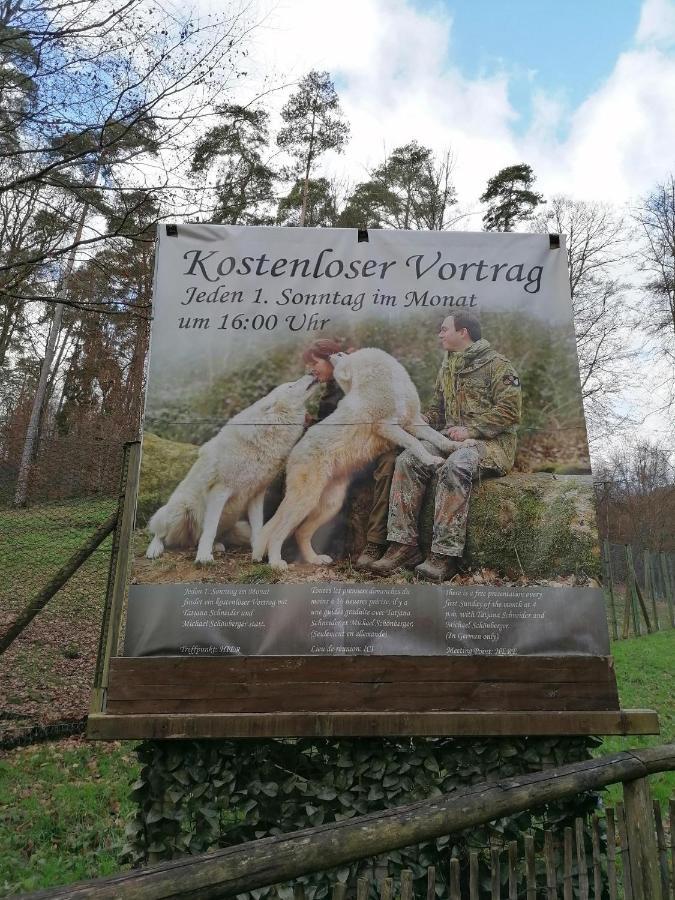 Ferienwohnung Am Wolfsweg Merzig Dış mekan fotoğraf