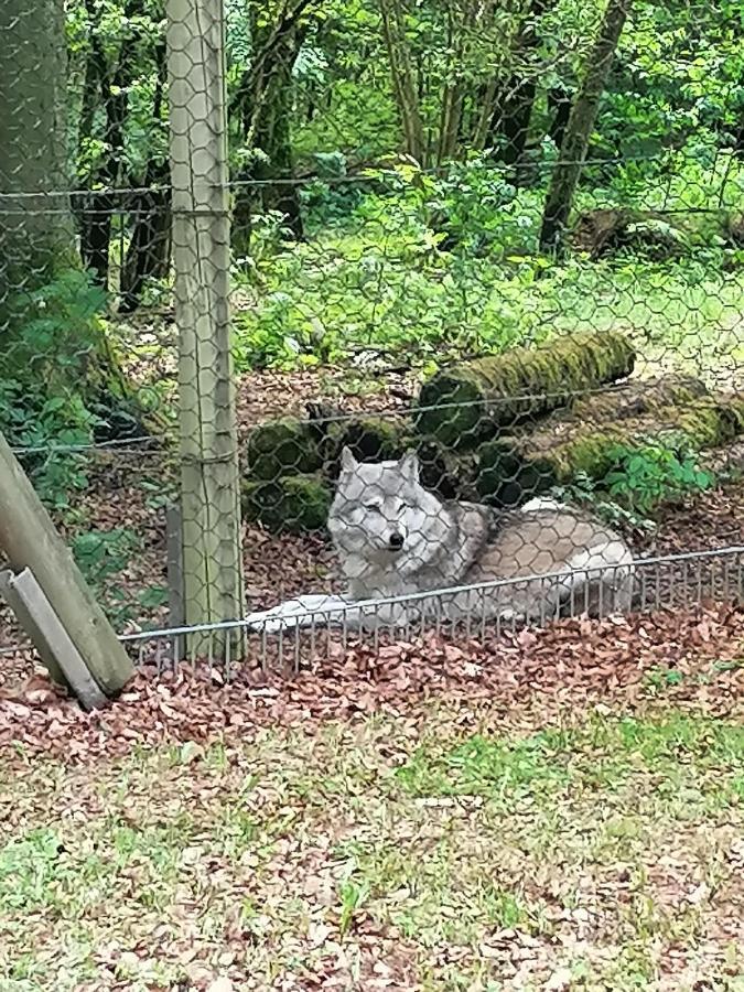 Ferienwohnung Am Wolfsweg Merzig Dış mekan fotoğraf