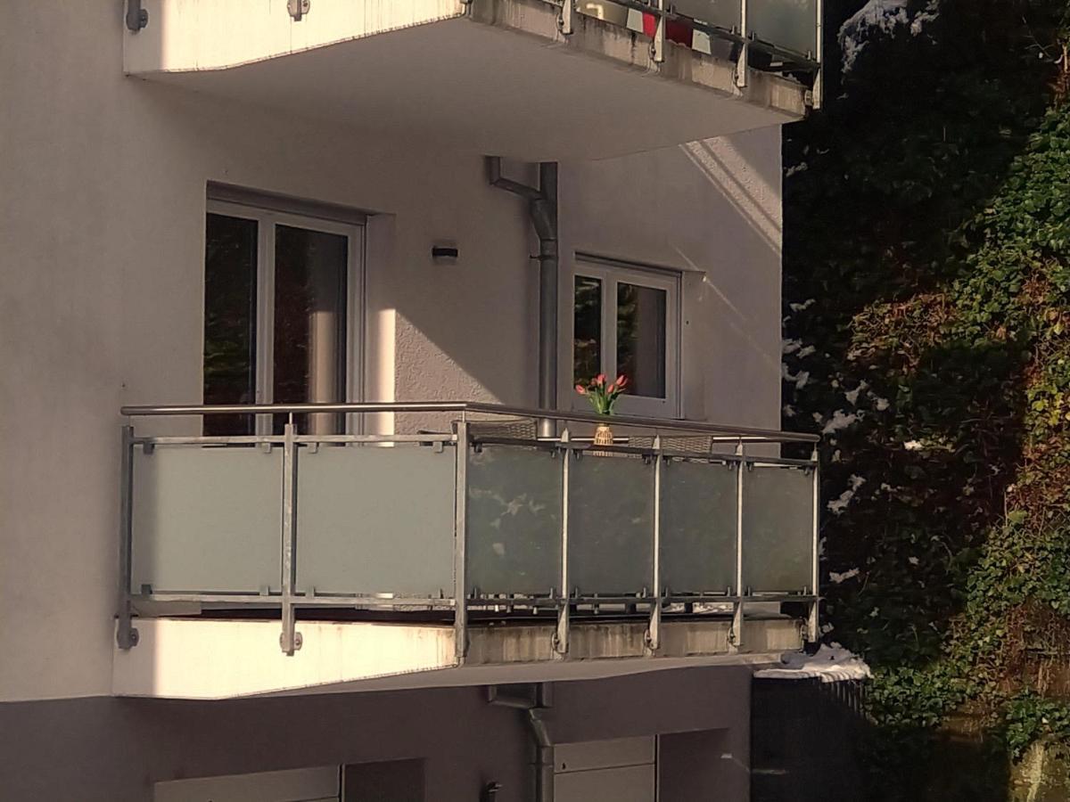 Ferienwohnung Am Wolfsweg Merzig Dış mekan fotoğraf